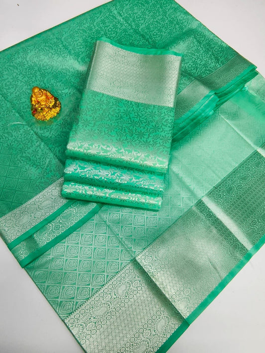 Mint Green with Silver Zari  Kanjivaram Silk saree